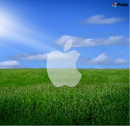 3-apple-1-in-fields