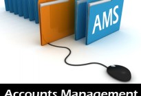 Accounts Management System