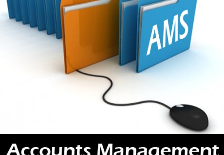 Accounts Management System
